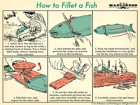 How to Fillet a Fish: A Beginner's Guide .